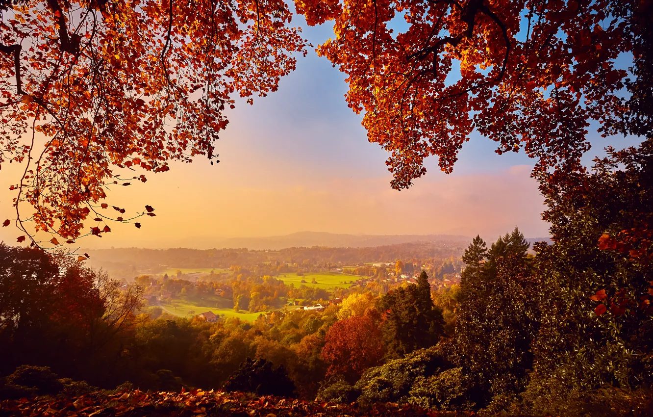 Фото обои осень, лес, листья, деревья, парк, colorful, forest, landscape