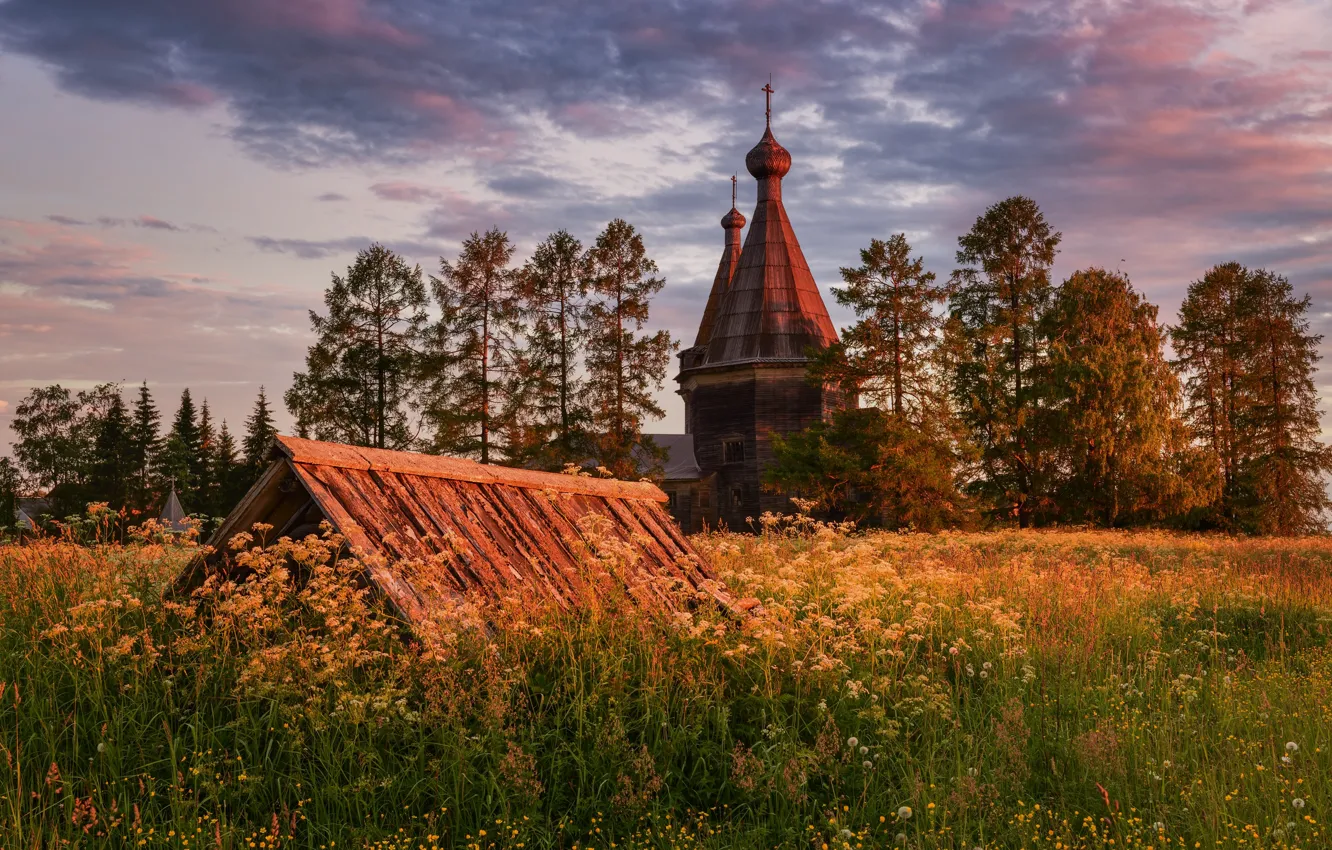 храмы в деревьях