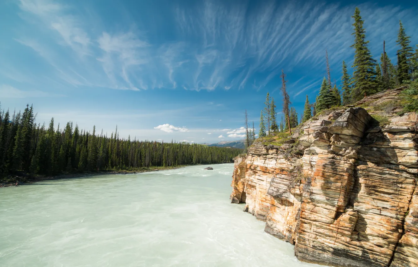 Фото обои лес, скала, река, Канада, Альберта, Alberta, Canada, Bow River