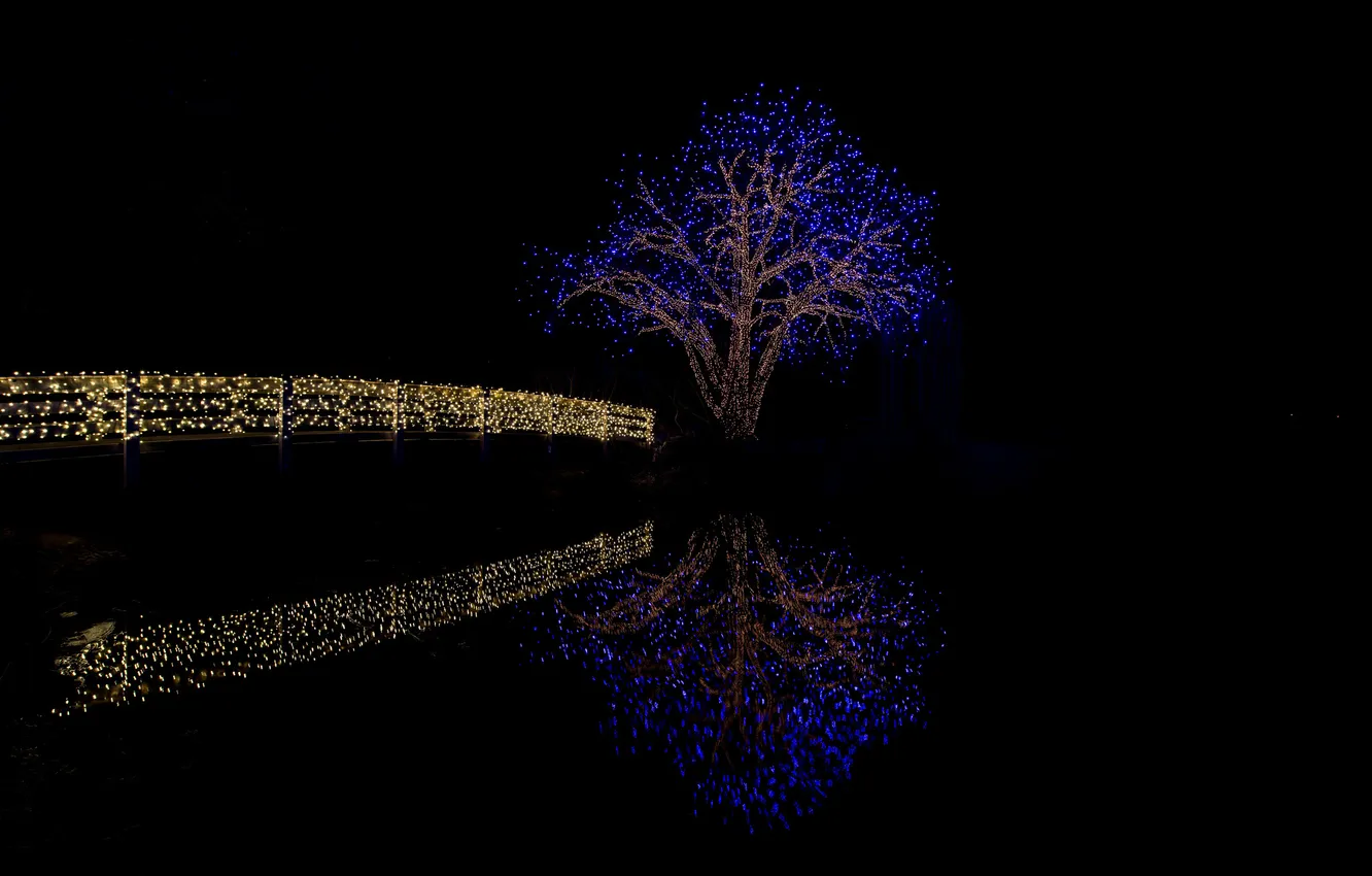 Фото обои вода, ночь, мост, lights, отражение, река, дерево, river