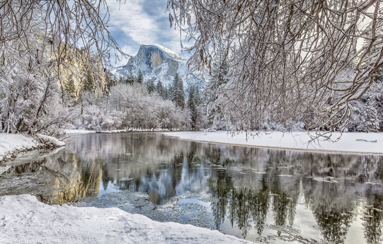 Фото обои зима, лес, снег, ветки, река, гора, Калифорния, California