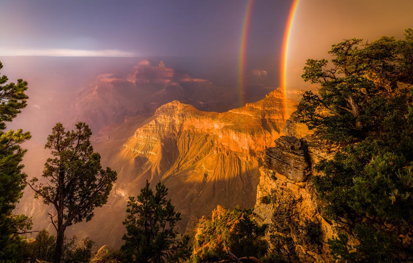 Фото обои свет, деревья, скалы, радуга, каньон, США
