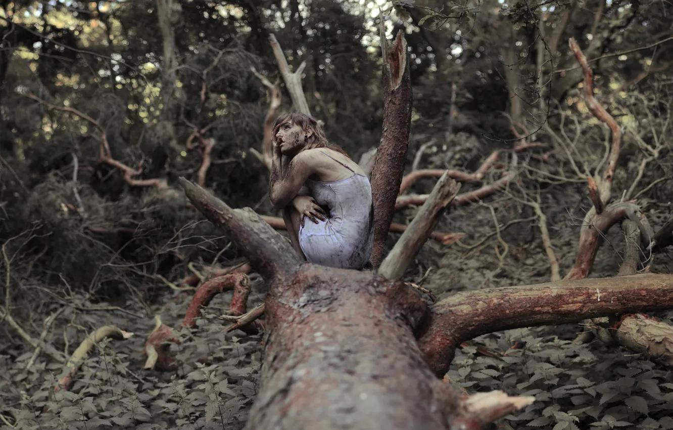 Фото обои лес, девушка, дерево, грязь, крапива, The Spriggan