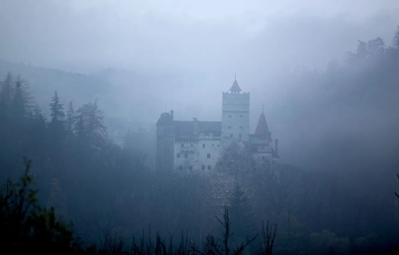 Фото обои лес, горы, туман, Romania, Румыния, Bran Castle, средневековая архитектура, замок Бран