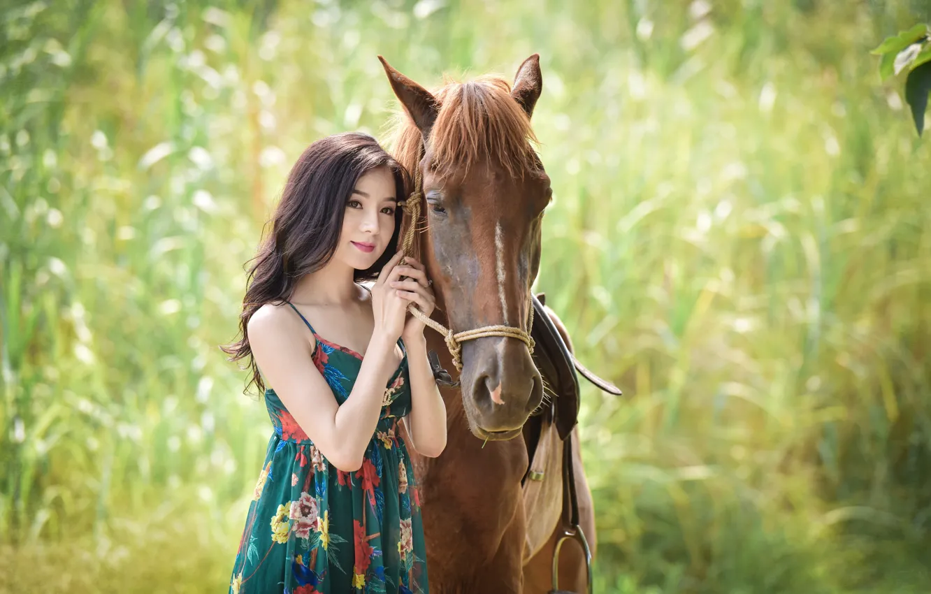 Фото обои лето, лицо, фон, лошадь, азиатка