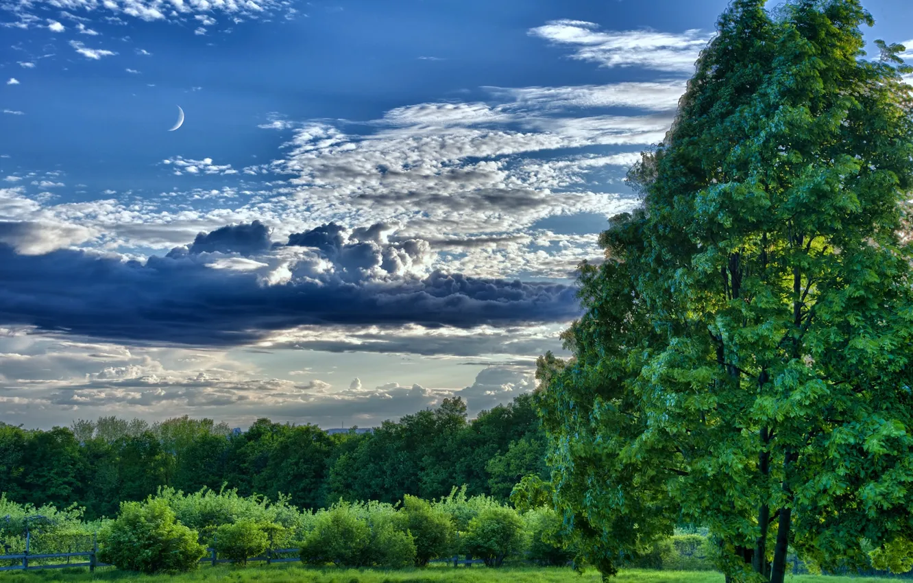 Фото обои небо, облака, деревья, тучи, луна, луг
