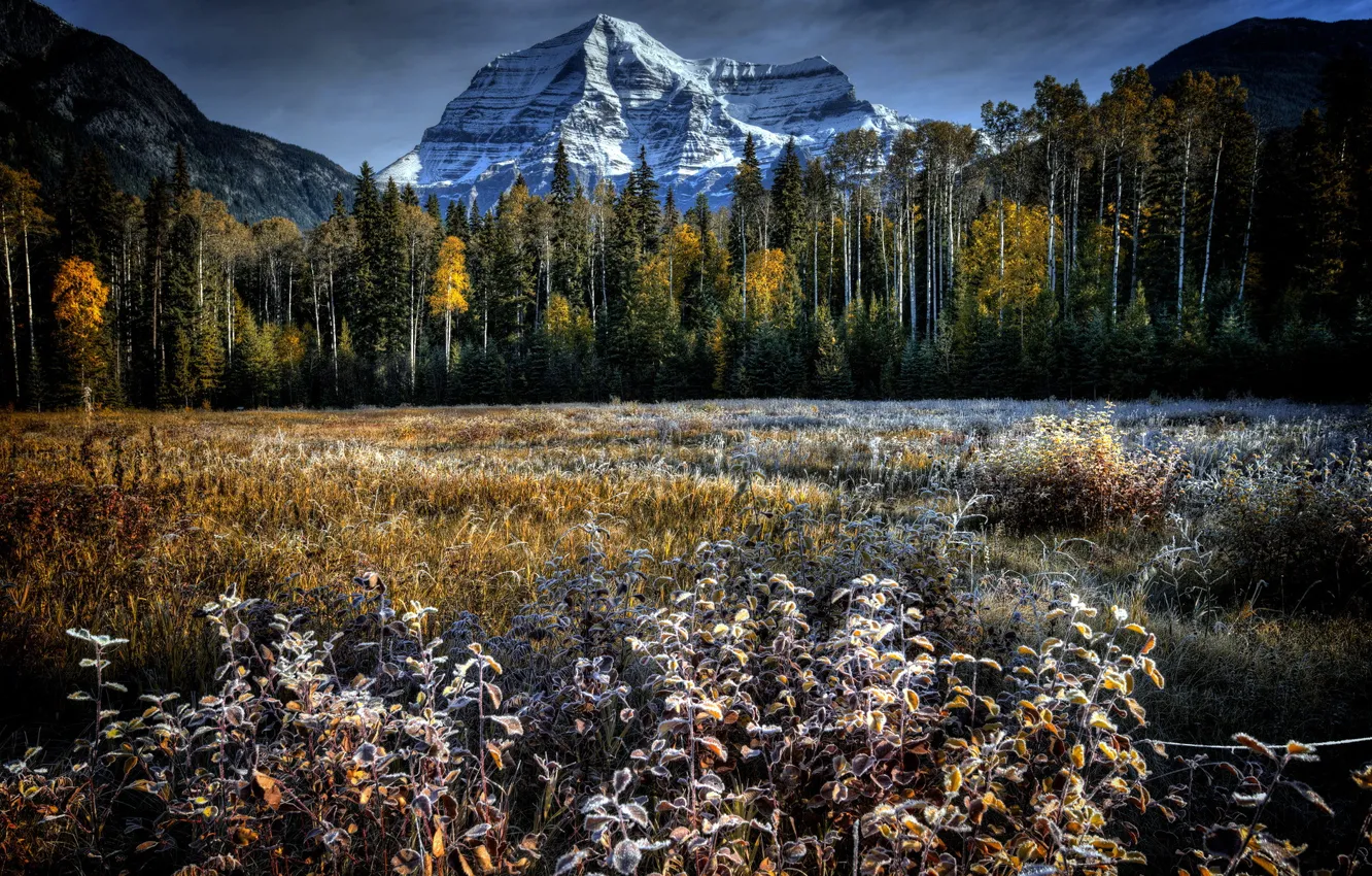 Фото обои поле, осень, пейзаж, гора