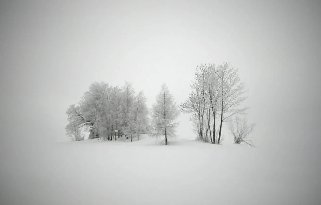 Фото обои холод, зима, снег, деревья, пейзажи, новый год, мороз, вьюга