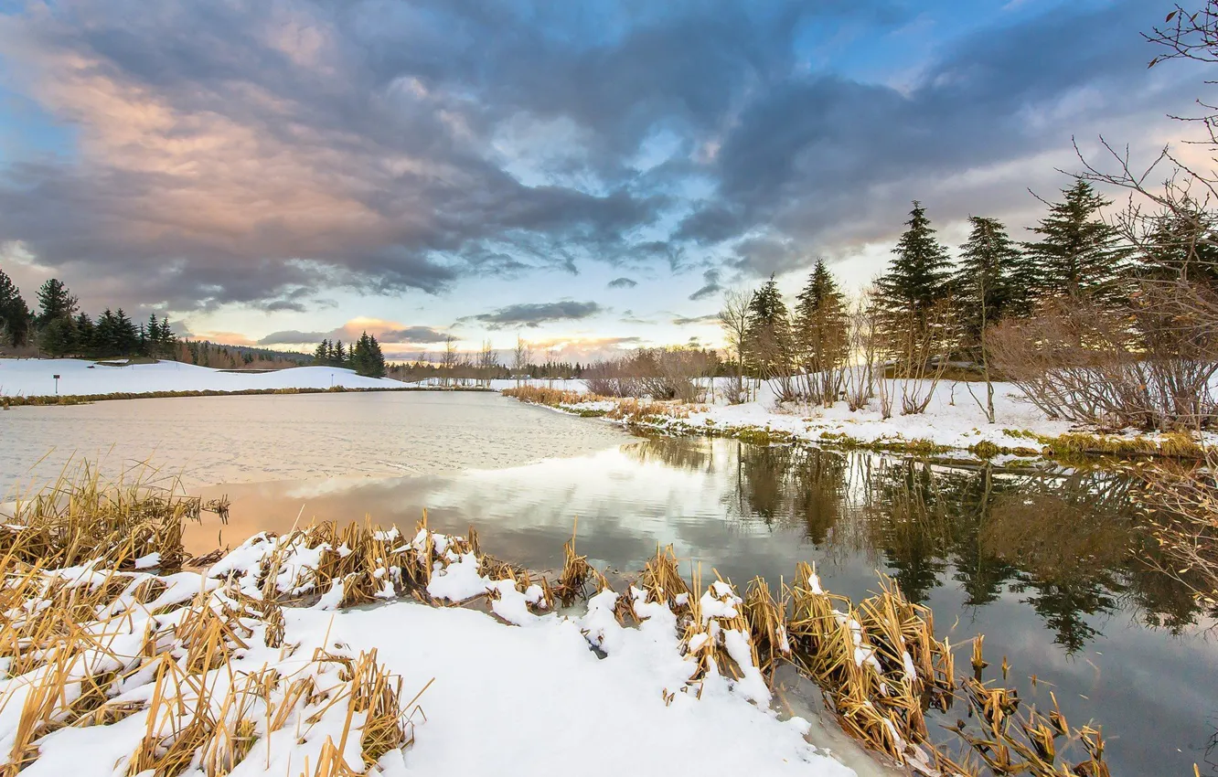 Фото обои зима, небо, трава, река, фото