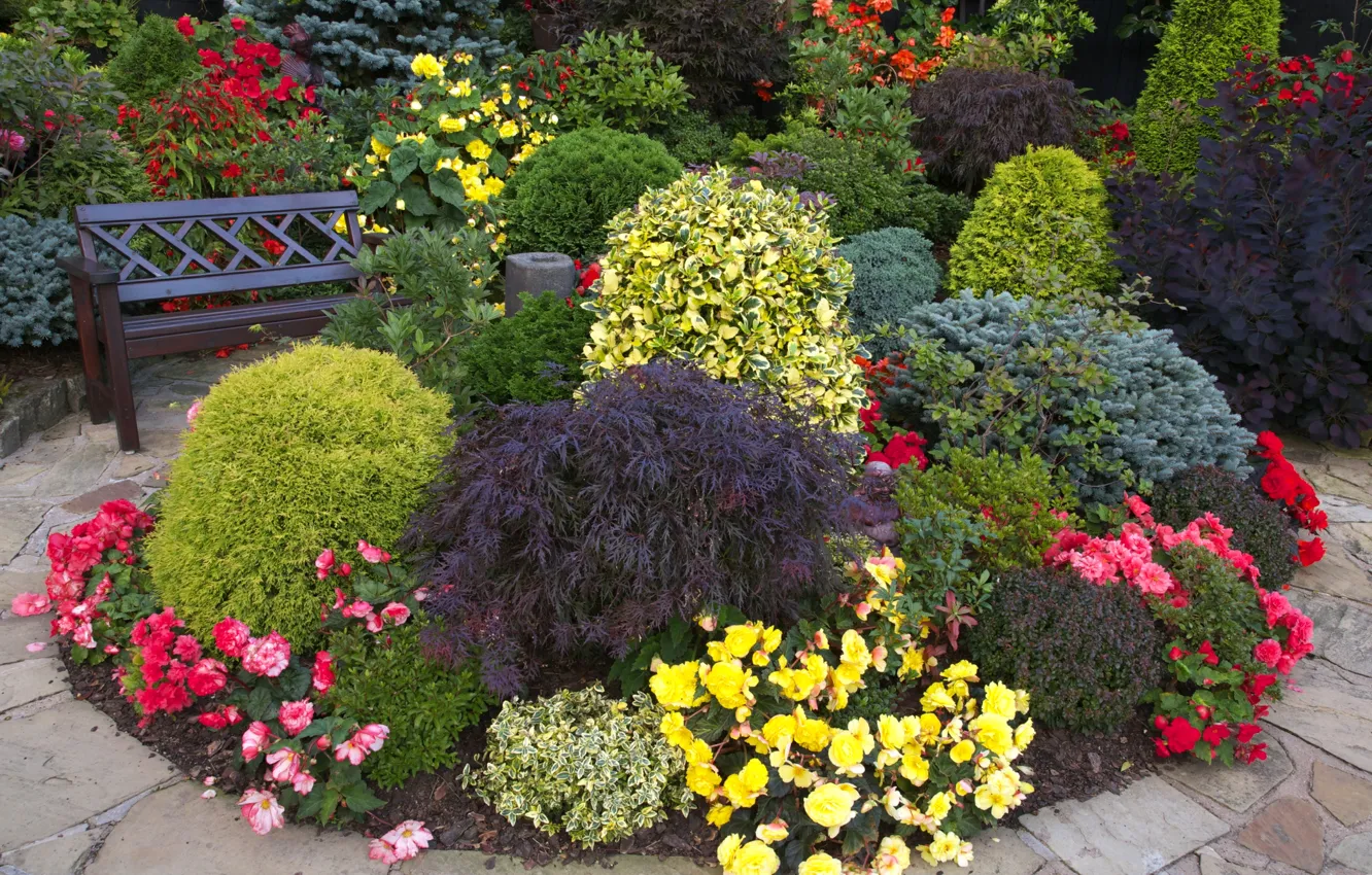 Фото обои цветы, скамейка, сад, дорожка, клумба, разноцветные, кусты, бегонии