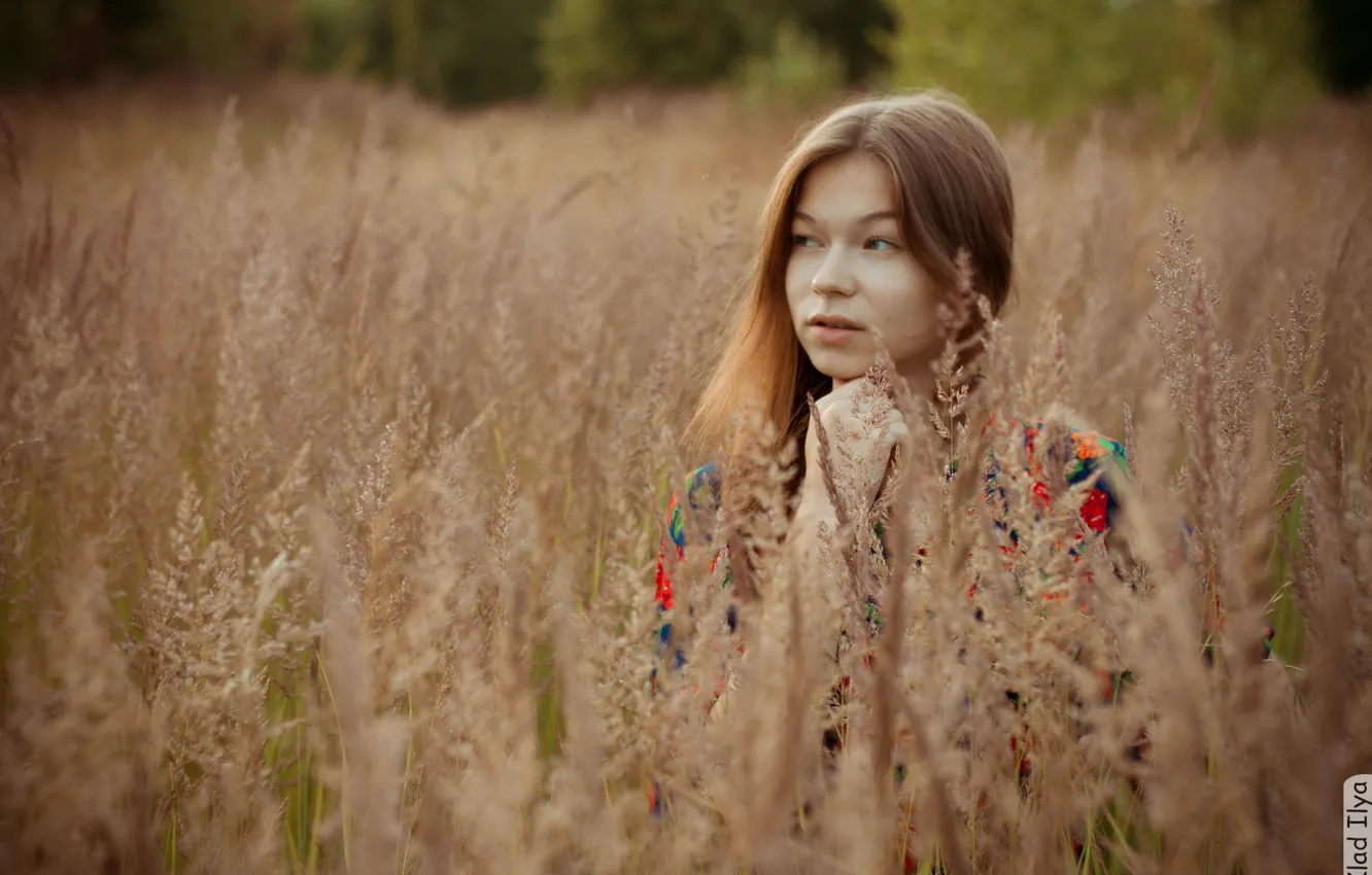 Фото обои поле, трава, девушка, фотограф, girl, photography, photographer, Ilya Klad