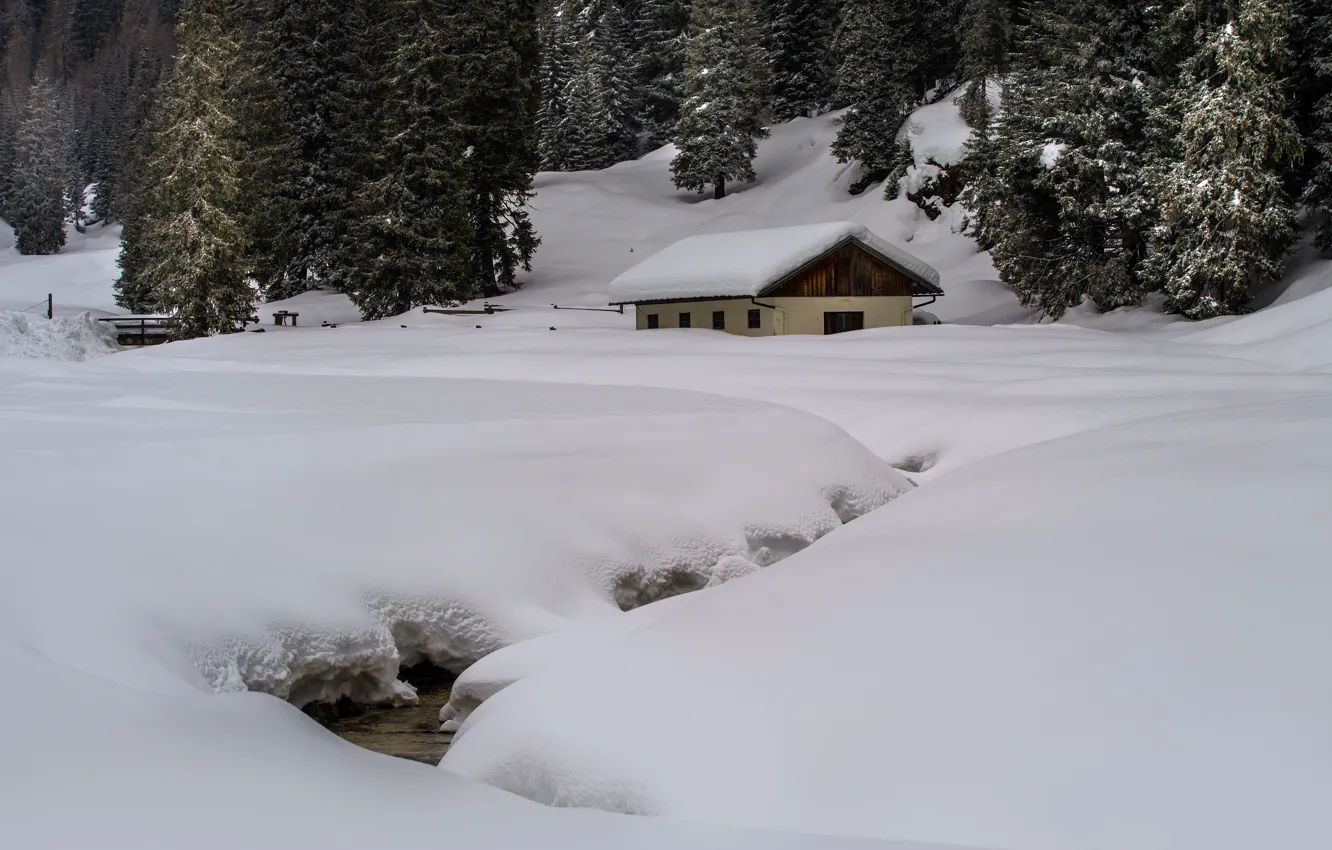 Фото обои зима, лес, сугробы, домик
