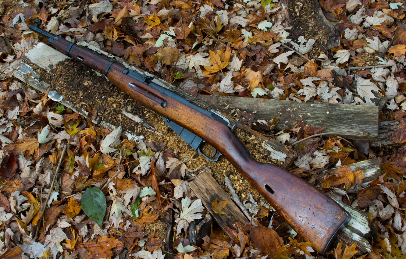 Фото обои винтовка, Мосина, магазинная, M44