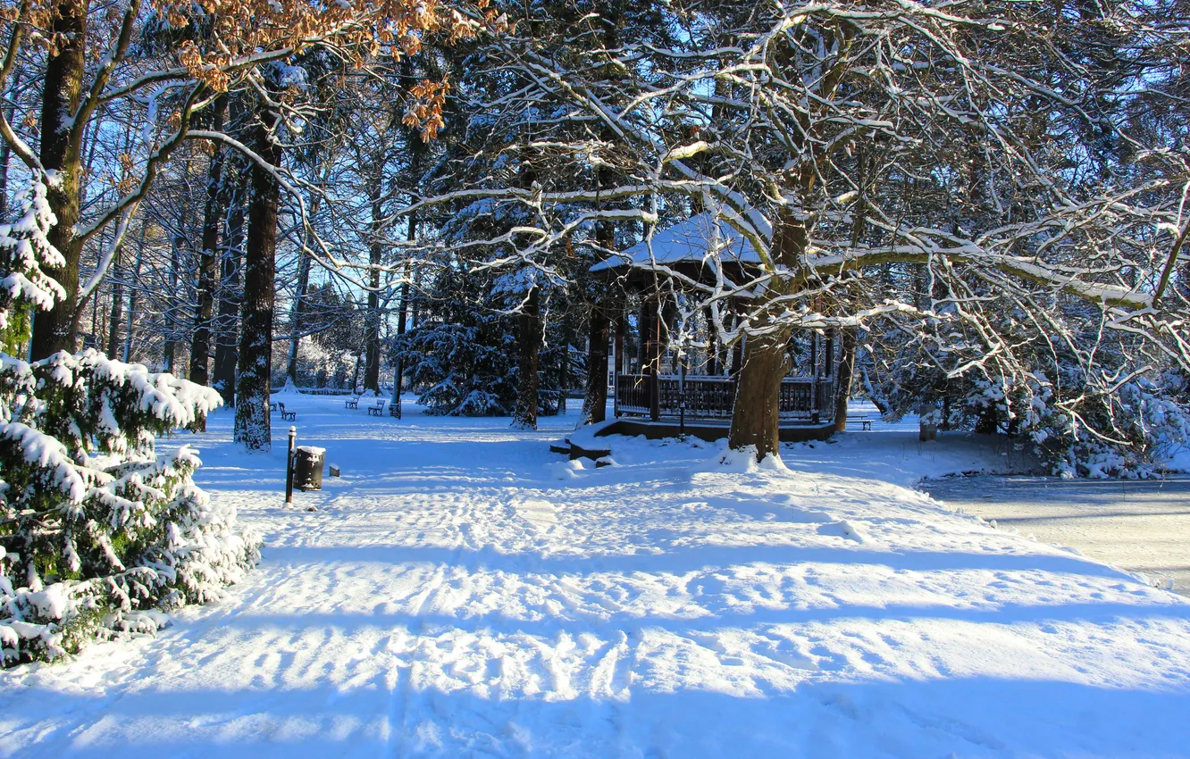 Фото обои park, winter, snow, alley