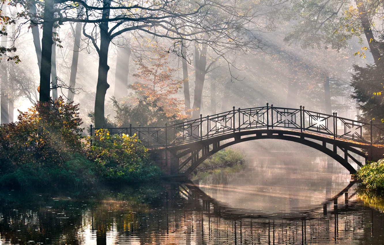 Фото обои лучи, деревья, природа, парк, романтика, речка, мостик, кусты