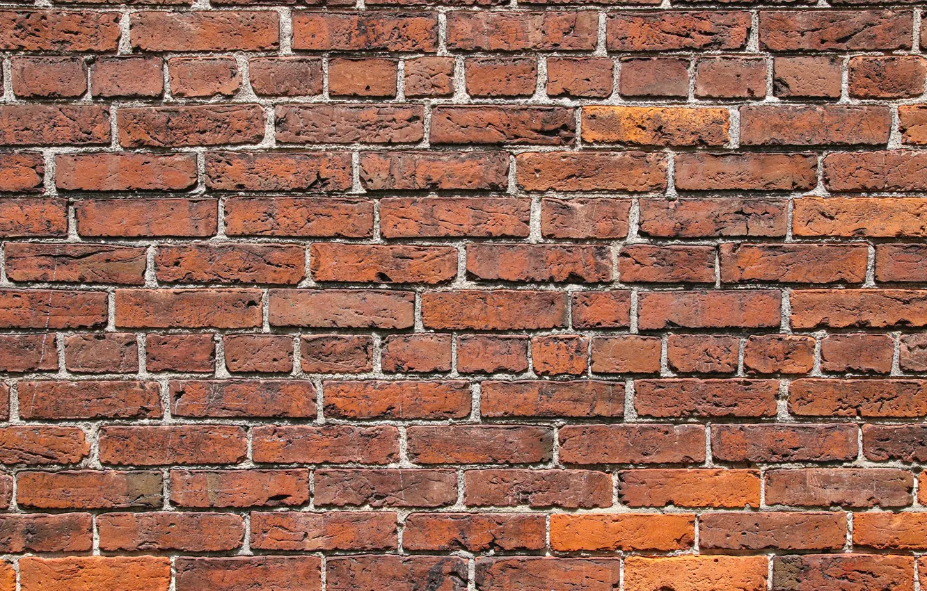 Фото обои кирпичи, текстуры, bricks, textures, кирпичная стена, brick wall
