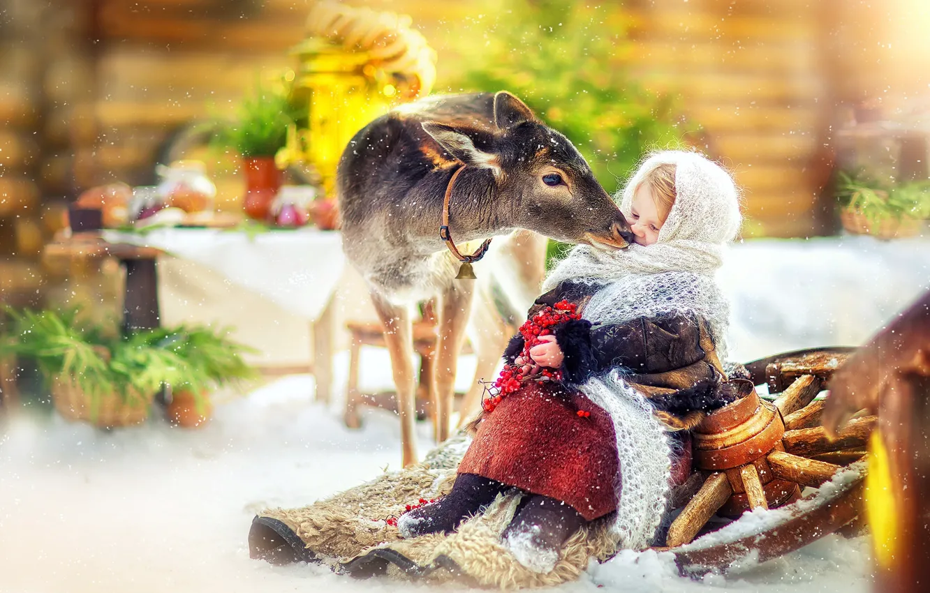Фото обои зима, снег, ягоды, нежность, олень, колесо, девочка, мех