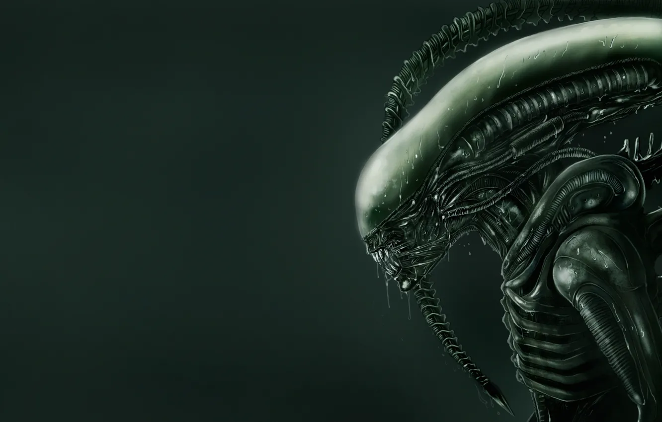 Фото обои Существо, Монстр, Чужой, Monster, Ужас, Horror, Xenomorph, Ксеноморф