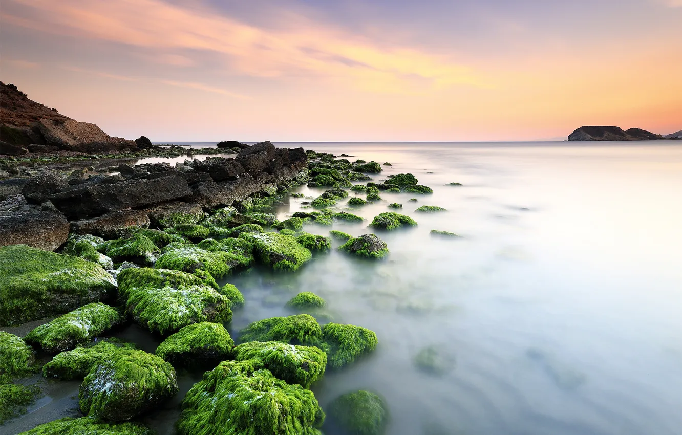 Фото обои море, небо, водоросли, камни, скалы