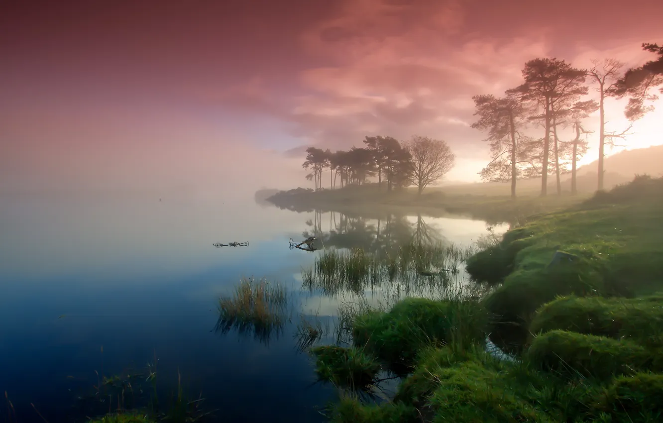 Фото обои деревья, закат, туман, озеро