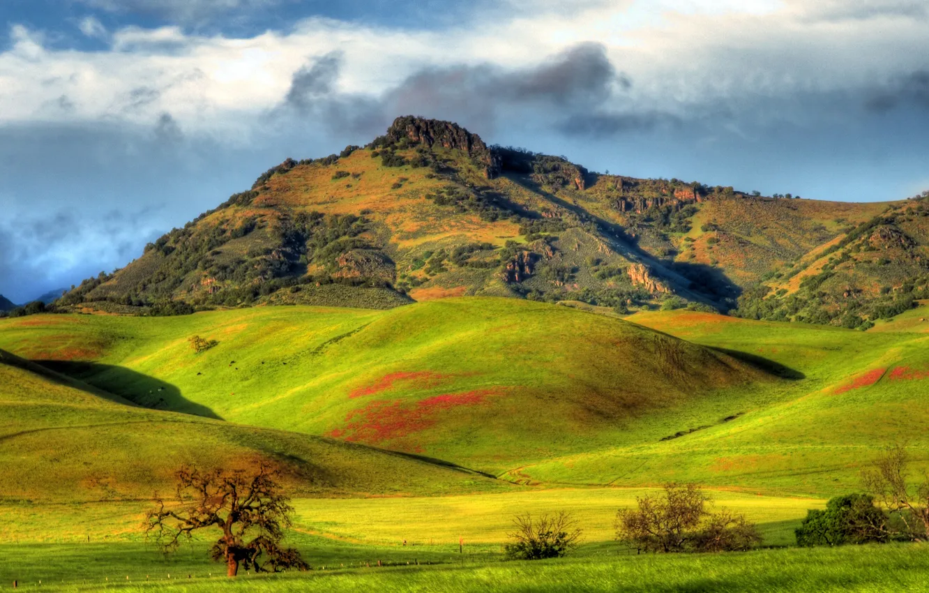 Фото обои зелень, солнце, облака, горы, холмы, поля, Калифорния, США