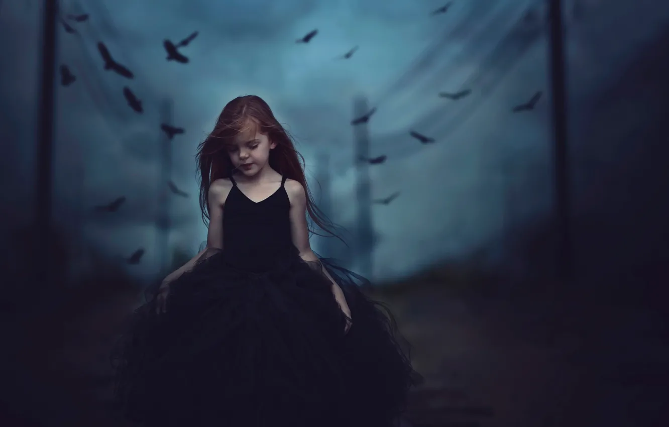 Фото обои птицы, сумрак, платье, девочка, Black