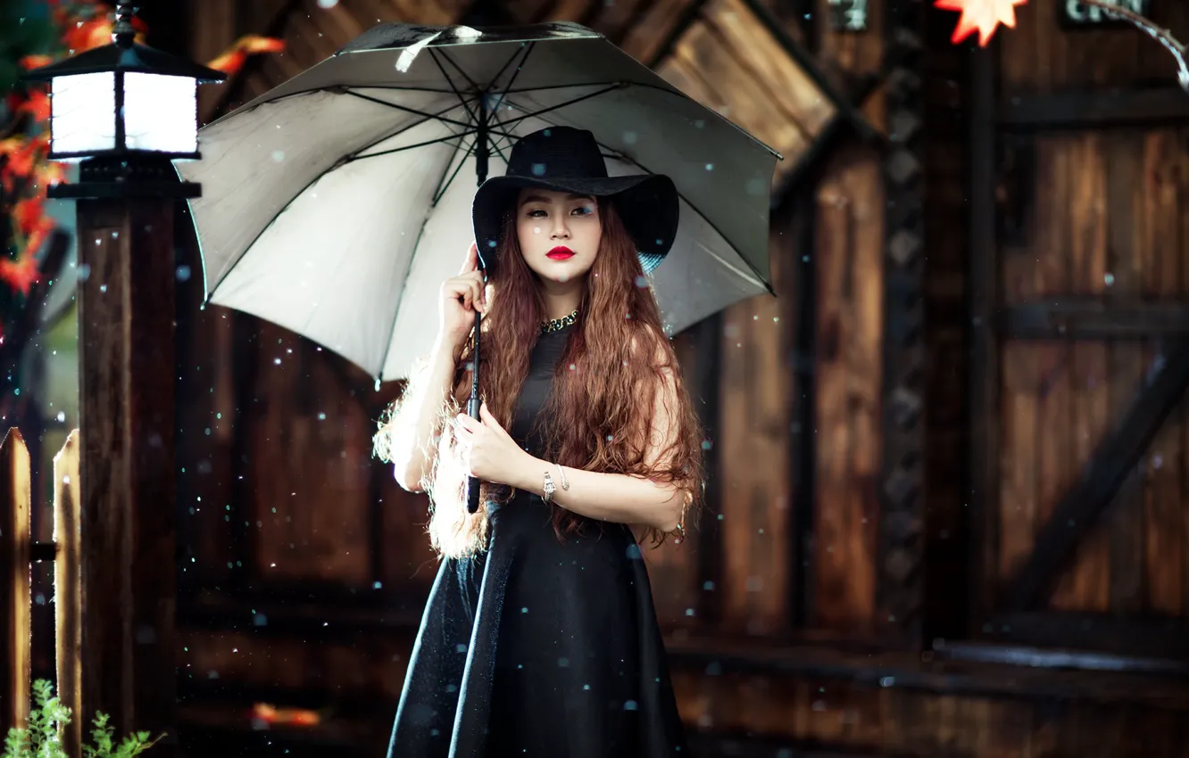 Фото обои девушка, зонт, азиатка