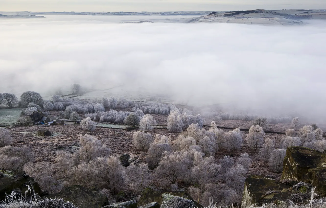 Фото обои поле, пейзаж, туман, долина