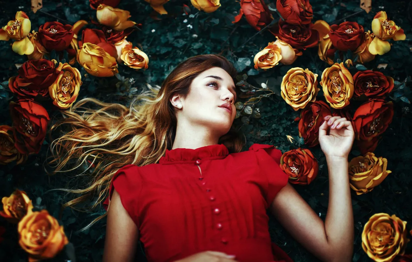 Фото обои девушка, цветы, поза, настроение, розы, Fernanda Finsterbush