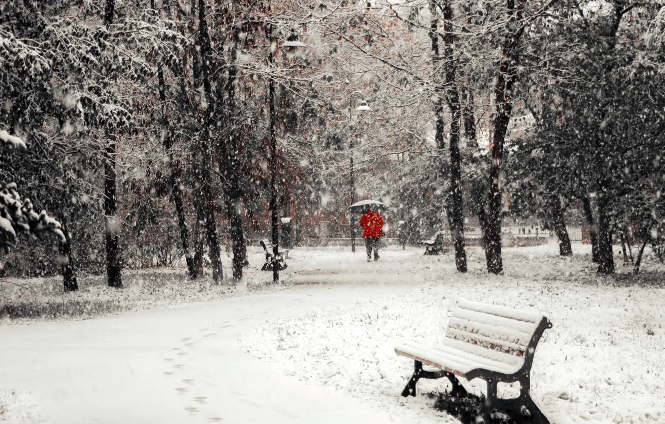 Фото обои зима, снег, город, скамья