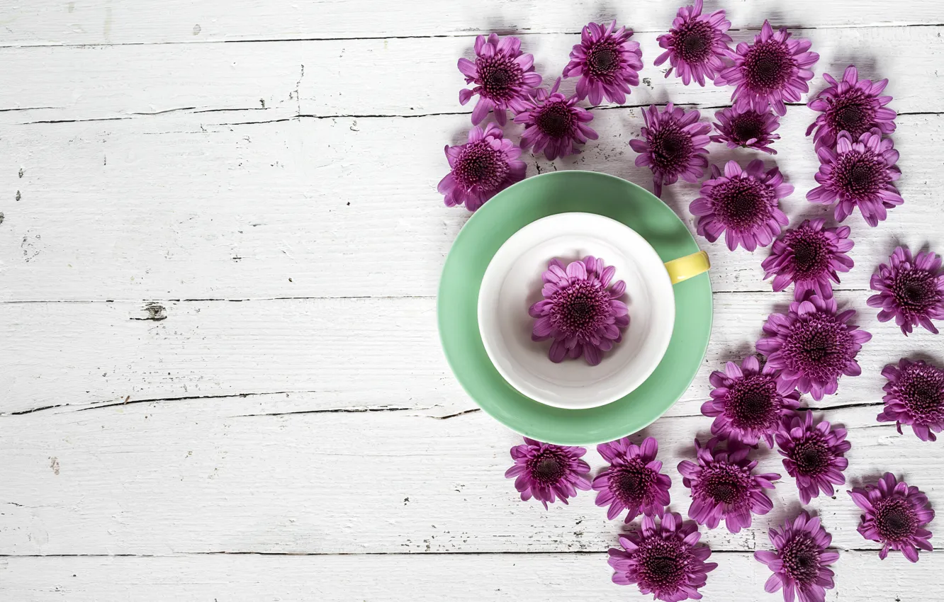 Фото обои цветы, чашка, хризантемы, wood, flowers, cup, purple