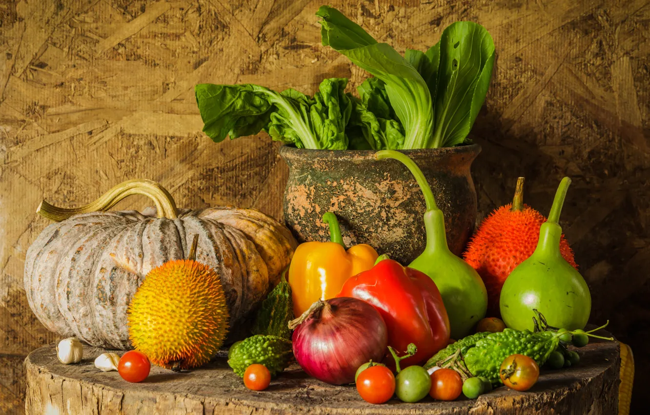 Фото обои урожай, тыква, фрукты, натюрморт, овощи, autumn, still life, pumpkin