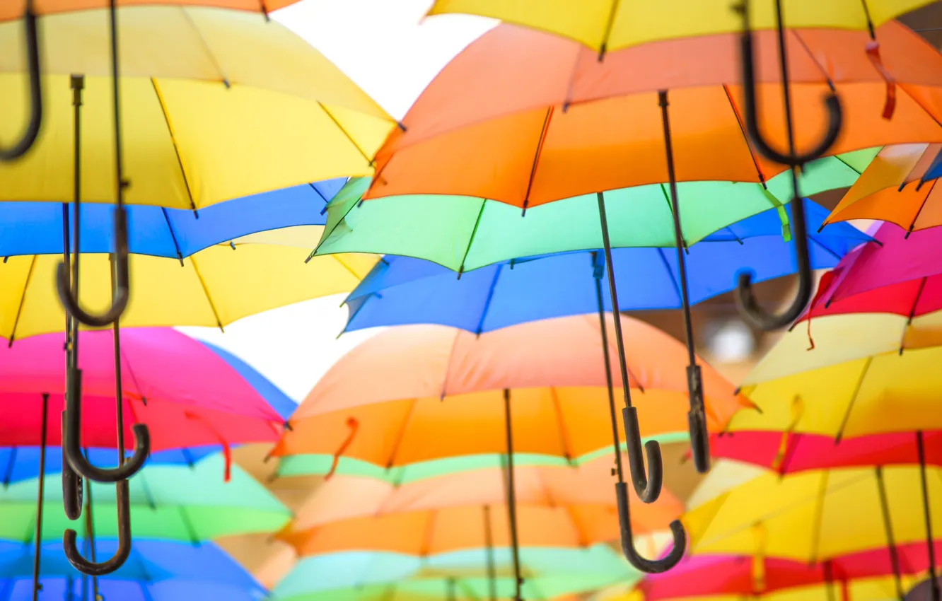Фото обои зонтик, краски, текстура, зонт