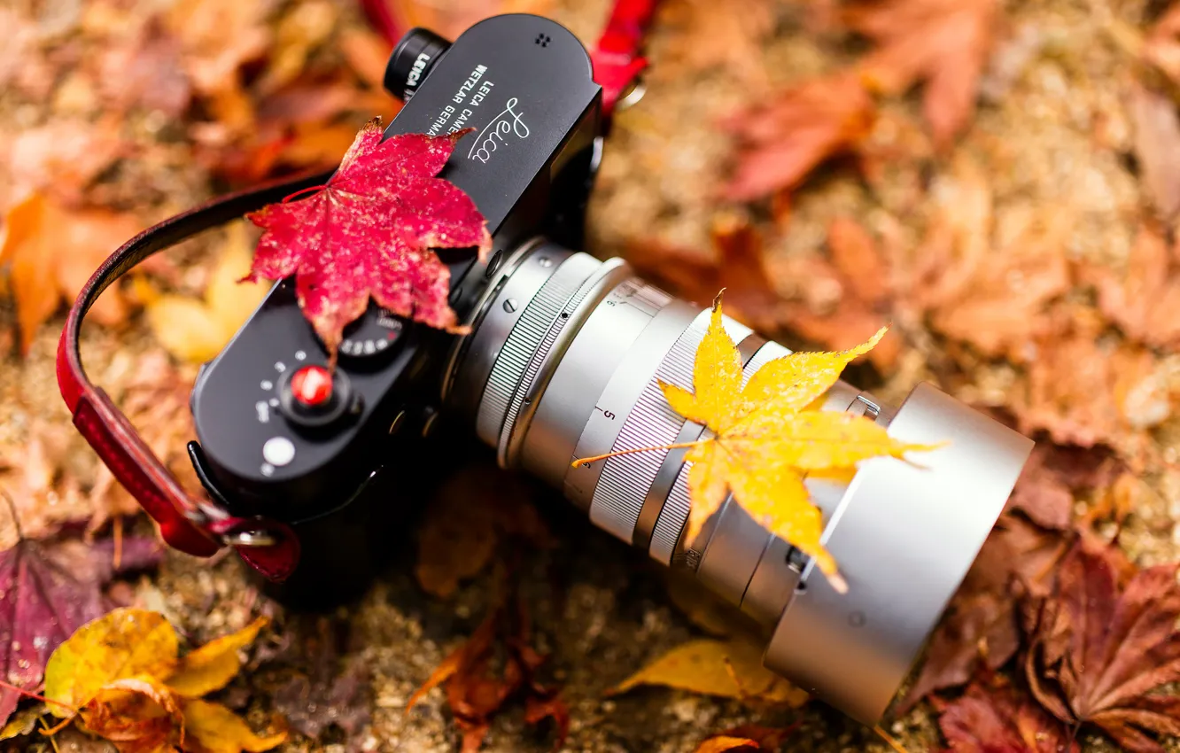 Фото обои Camera, autumn colors, Leica
