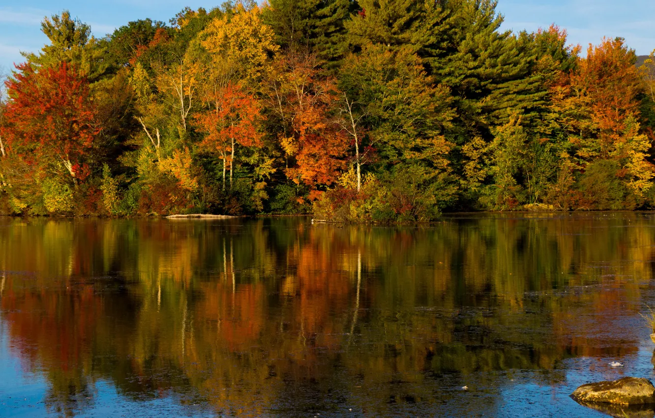 Фото обои осень, лес, небо, вода, деревья, озеро, река