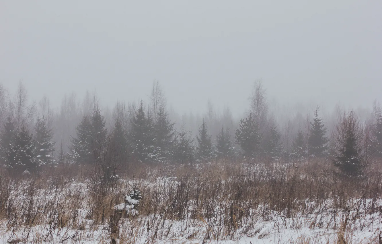 Фото обои зима, поле, лес, снег, природа, туман, зимний туман, туман в лесу