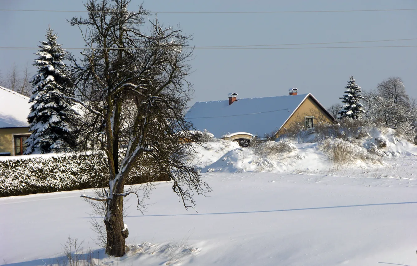 Фото обои зима, снег, landscape, winter, snow