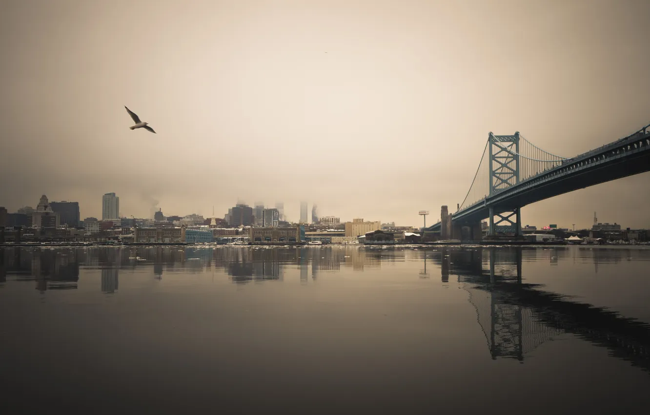Фото обои лед, зима, мост, отражение, чайки, зеркало, горизонт, Филадельфия