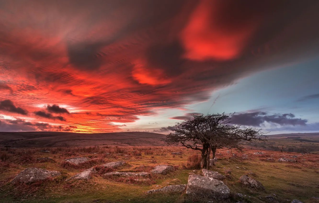 Фото обои Англия, Dartmoor National Park, Dartmoor