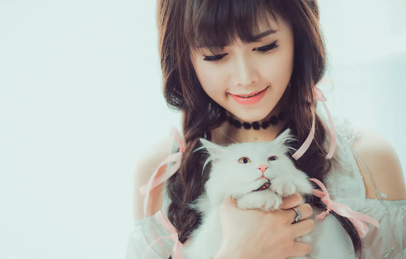 Фото обои кошка, кот, девушка, улыбка, настроение, азиатка