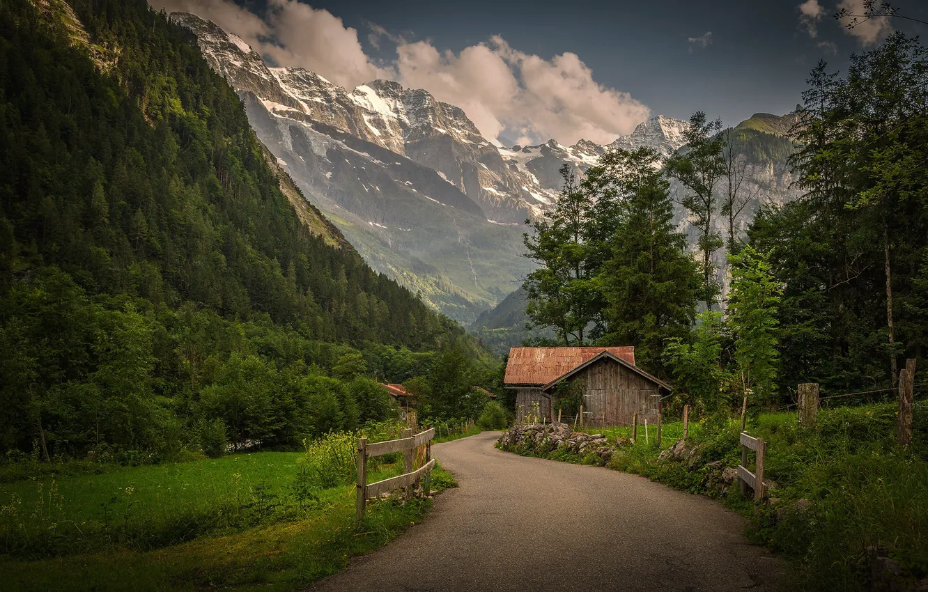 Фото обои дорога, поле, лес, снег, горы, вершины, ели, склон