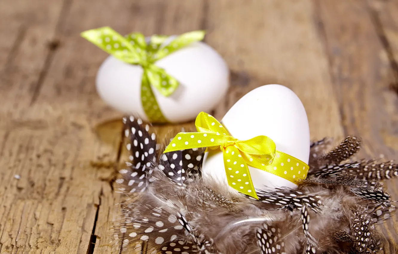 Фото обои яйца, весна, перья, пасха, wood, верба, spring, пасхальный