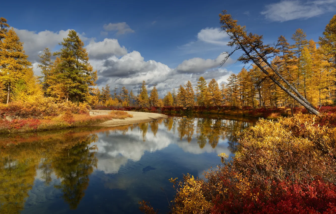 Фото обои осень, облака, деревья, пейзаж, природа, река, берега, Пурга