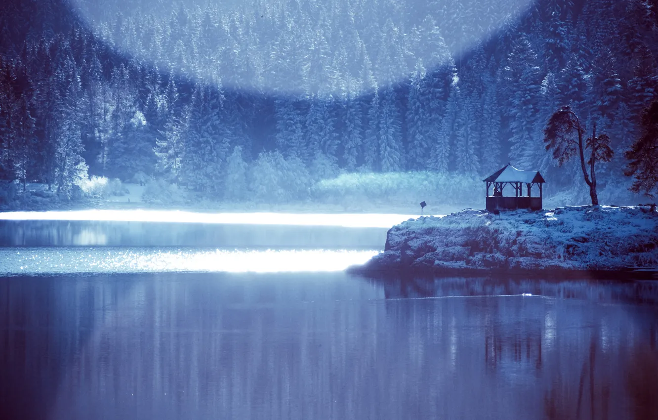 Фото обои зима, лес, озеро