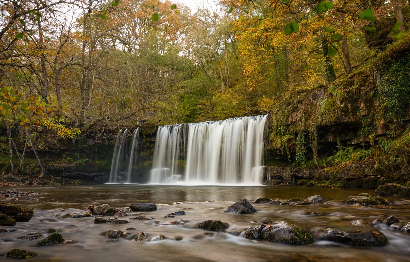 Фото обои осень, лес, деревья, река, Англия, водопад, England, Уэльс