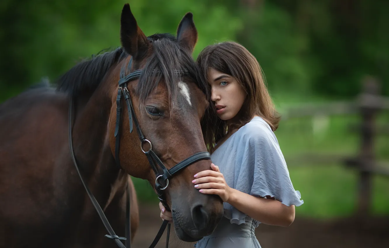 Фото обои девушка, лошадь, Аня, Бармина Анастасия