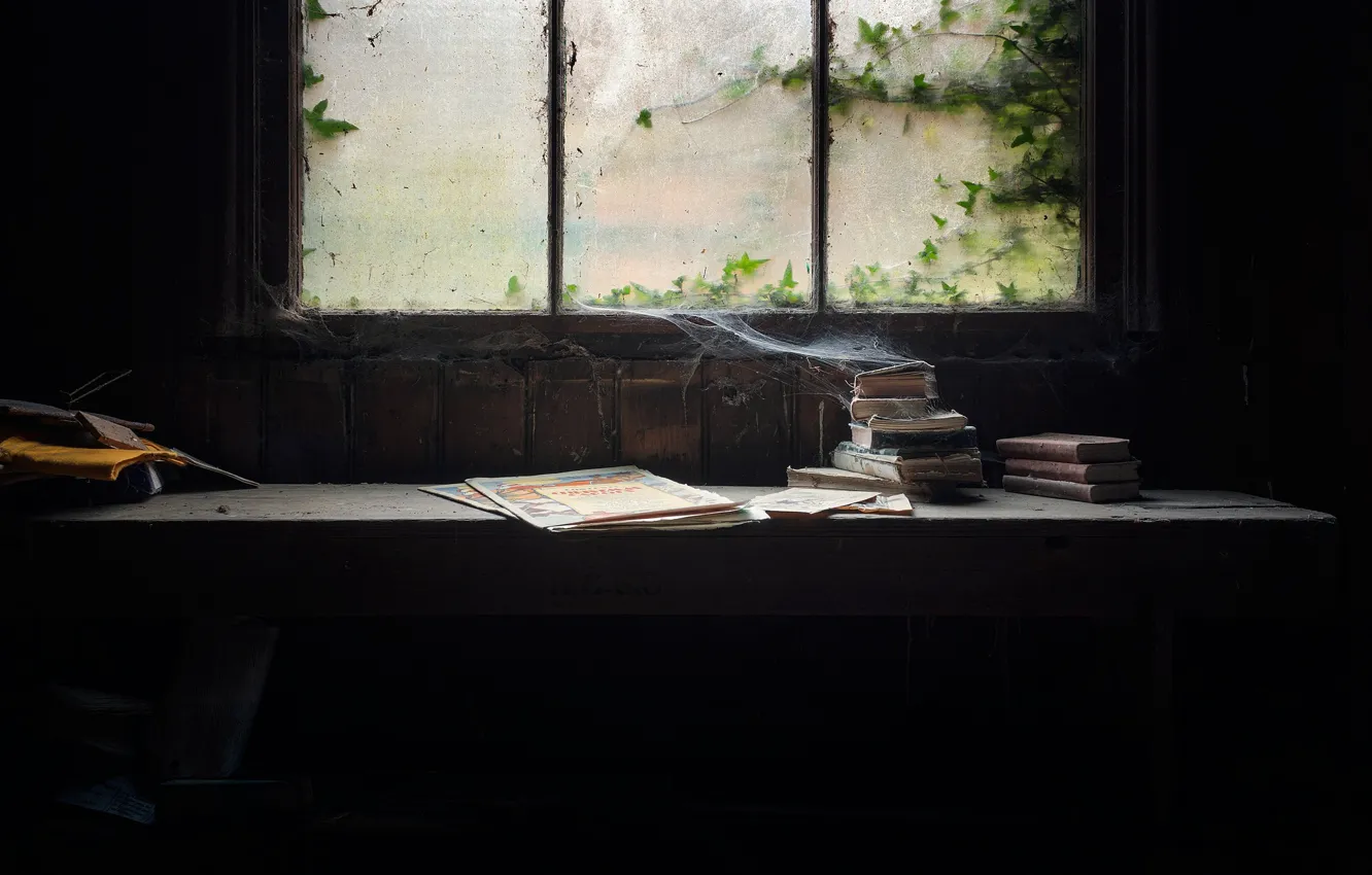 Фото обои книги, паутина, пыль, окно, натурализм