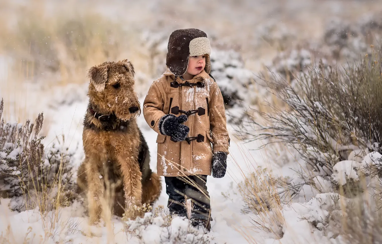 Фото обои снег, собака, мальчик, друзья