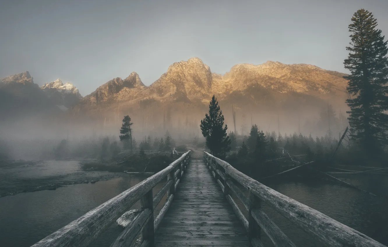 Фото обои небо, деревья, горы, мост, туман, река, ели, сосны