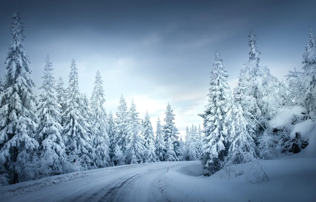 Фото обои зима, дорога, лес, снег, Sven Olav Vahlenkamp